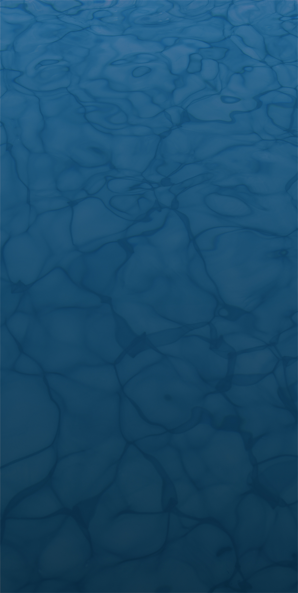 Artboard 1 2.png